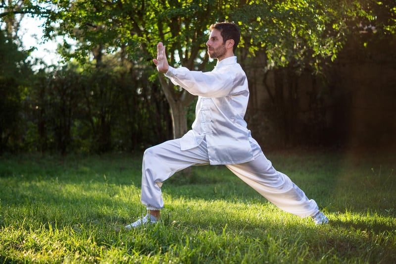Chen Style Tai Chi Flow
